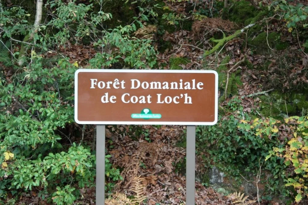 Scaër la Forêt de Coat Loc'h.